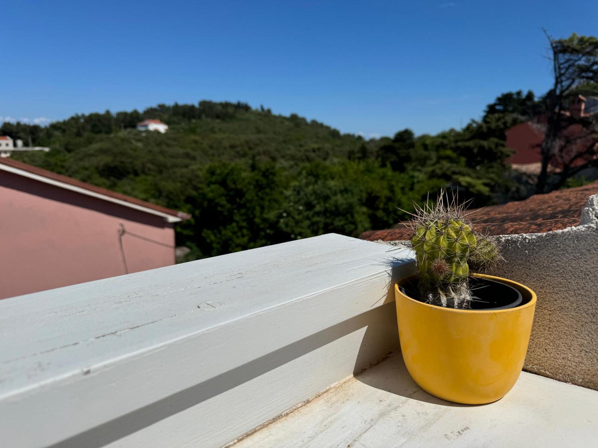 Studio Lorena Mali Lošinj Dış mekan fotoğraf