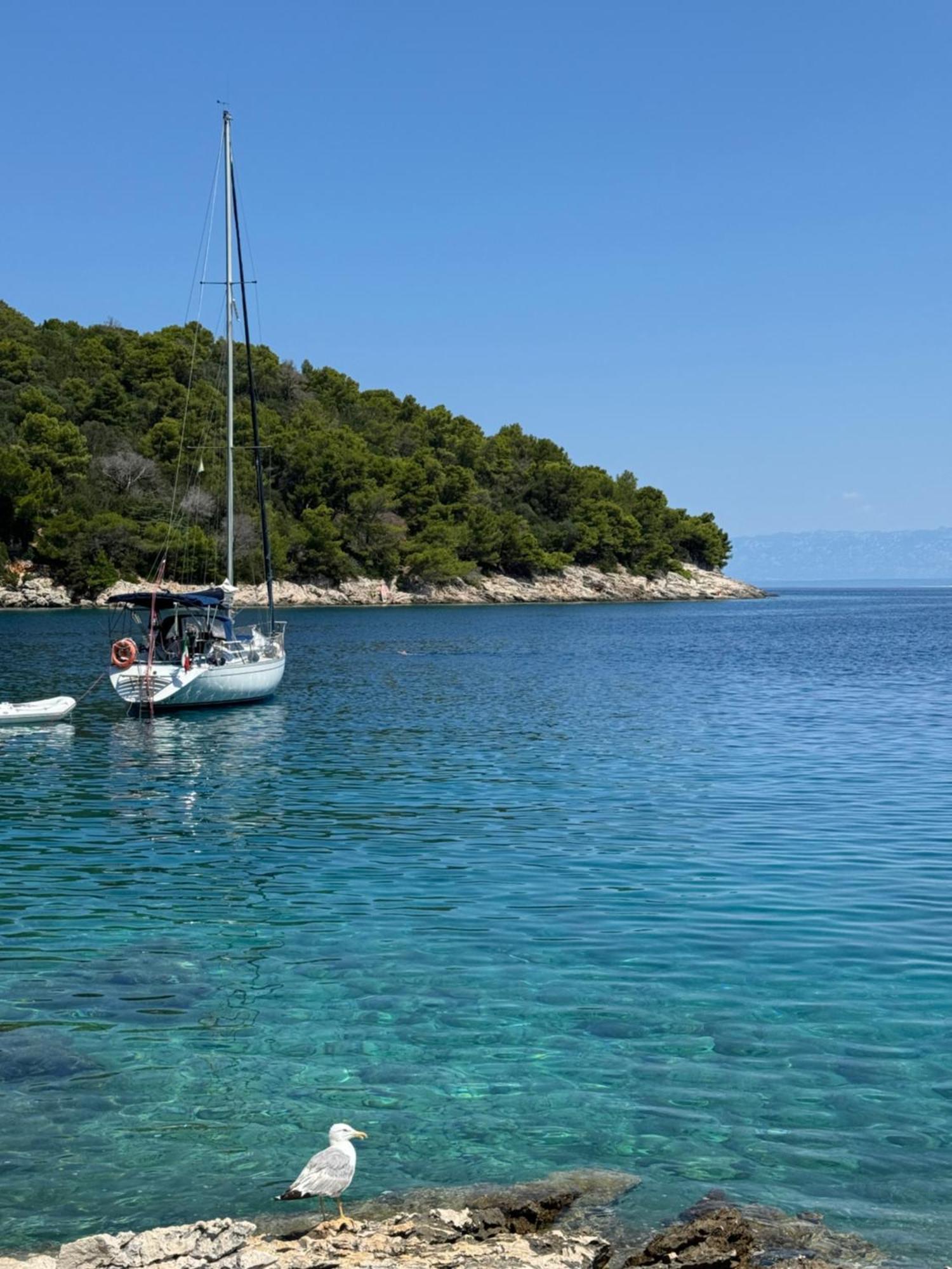 Studio Lorena Mali Lošinj Dış mekan fotoğraf
